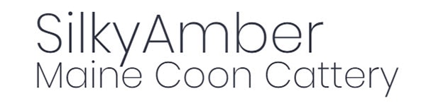 Seiky Amber Maine Coons Logo